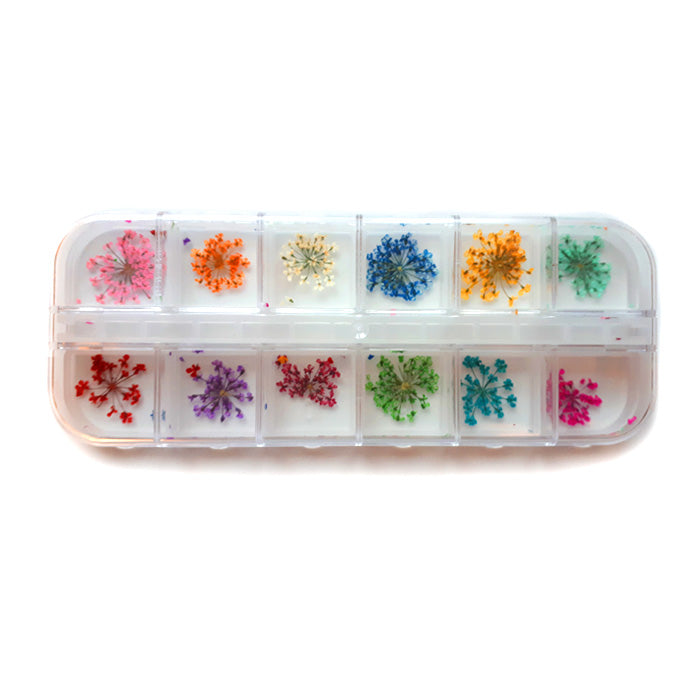 Dried Flowers Nail Decoration Assorted Colours. Beautiful dried flowers.
Dried flowers are very delicate, so please handle gently.