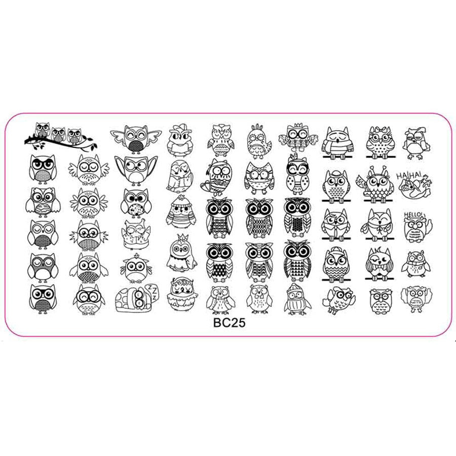 Steel Stamping Plate, Cute Owls. So many adorable owl designs on this nail stamping plate.