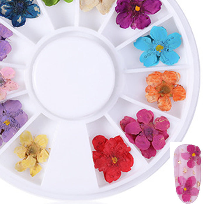 Dried Flowers Nail Art Wheel Selection